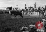 Immagine di Calgary Stampede Lo stato di Alberta in Canada, 1960, secondo 51 filmato di repertorio 65675042256