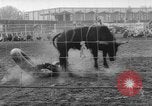 Immagine di Calgary Stampede Lo stato di Alberta in Canada, 1960, secondo 54 filmato di repertorio 65675042256