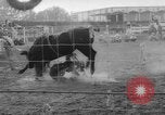 Immagine di Calgary Stampede Lo stato di Alberta in Canada, 1960, secondo 56 filmato di repertorio 65675042256