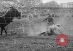 Immagine di Calgary Stampede Lo stato di Alberta in Canada, 1960, secondo 57 filmato di repertorio 65675042256