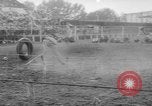 Immagine di Calgary Stampede Lo stato di Alberta in Canada, 1960, secondo 59 filmato di repertorio 65675042256