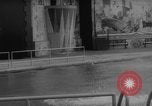 Image of divers at Aquarama New York United States USA, 1960, second 11 stock footage video 65675042261