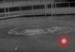 Image of divers at Aquarama New York United States USA, 1960, second 16 stock footage video 65675042261