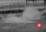 Image of divers at Aquarama New York United States USA, 1960, second 27 stock footage video 65675042261