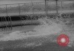 Image of divers at Aquarama New York United States USA, 1960, second 28 stock footage video 65675042261