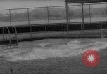 Image of divers at Aquarama New York United States USA, 1960, second 29 stock footage video 65675042261
