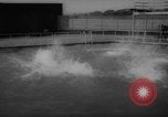 Image of divers at Aquarama New York United States USA, 1960, second 30 stock footage video 65675042261
