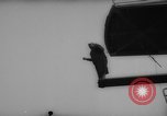 Image of divers at Aquarama New York United States USA, 1960, second 36 stock footage video 65675042261