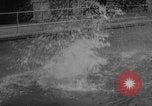 Image of divers at Aquarama New York United States USA, 1960, second 46 stock footage video 65675042261