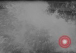 Image of divers at Aquarama New York United States USA, 1960, second 52 stock footage video 65675042261