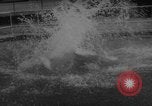 Image of divers at Aquarama New York United States USA, 1960, second 62 stock footage video 65675042261