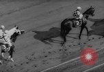 Image of Brooklyn Handicap horse race New York United States USA, 1960, second 10 stock footage video 65675042262
