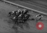 Image of Brooklyn Handicap horse race New York United States USA, 1960, second 24 stock footage video 65675042262