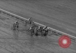 Image of Brooklyn Handicap horse race New York United States USA, 1960, second 59 stock footage video 65675042262