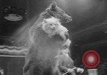 Image of Moscow circus New York United States USA, 1963, second 37 stock footage video 65675042269