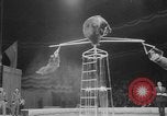 Image of Moscow circus New York United States USA, 1963, second 54 stock footage video 65675042269