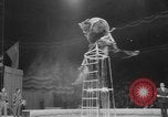 Image of Moscow circus New York United States USA, 1963, second 55 stock footage video 65675042269