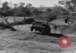 Image Jeeps utilisés dans le monde entier au cours Seconde Guerre Mondiale United States USA, 1943, de la seconde 19 séquences d'archives historiques vidéo 65675042283
