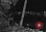 Image of United States 14th Air Force China, 1945, second 26 stock footage video 65675042289