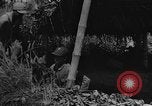 Image of United States 14th Air Force China, 1945, second 27 stock footage video 65675042289