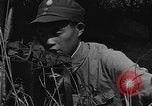 Image of United States 14th Air Force China, 1945, second 28 stock footage video 65675042289