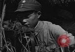 Image of United States 14th Air Force China, 1945, second 29 stock footage video 65675042289