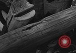 Image of United States 14th Air Force China, 1945, second 34 stock footage video 65675042290