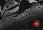 Image of United States 14th Air Force China, 1945, second 35 stock footage video 65675042290