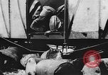Standbild Allied Zubehör China, 1945, aus Sekunde 5 historischem Filmmaterial Videoclip 65675042292