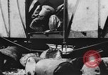 Standbild Allied Zubehör China, 1945, aus Sekunde 6 historischem Filmmaterial Videoclip 65675042292