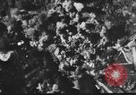 Image of United States B-24 aircraft China, 1945, second 37 stock footage video 65675042295