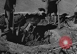 Image of house on fire China, 1945, second 19 stock footage video 65675042297