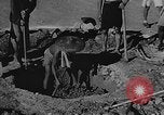 Image of house on fire China, 1945, second 21 stock footage video 65675042297