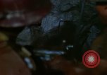 Image déverser du minerai la bolivie, 1966, de la seconde 27 séquences d'archives historiques vidéo 65675042325