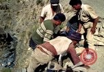Image of construction of a road Bolivia, 1966, second 36 stock footage video 65675042328