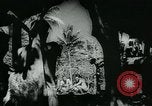 Image les troupes australiennes Timor, 1943, de la seconde 53 séquences d'archives historiques vidéo 65675042332