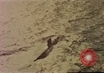 Standbild USS Nautilus SSN-571 Atlantik, 1956, aus Sekunde 21 historischem Filmmaterial Videoclip 65675042347