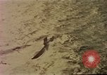 Standbild USS Nautilus SSN-571 Atlantik, 1956, aus Sekunde 22 historischem Filmmaterial Videoclip 65675042347
