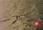 Standbild USS Nautilus SSN-571 Atlantik, 1956, aus Sekunde 23 historischem Filmmaterial Videoclip 65675042347