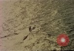 Standbild USS Nautilus SSN-571 Atlantik, 1956, aus Sekunde 24 historischem Filmmaterial Videoclip 65675042347
