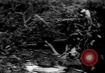 Immagine di Americani prigionieri di guerra Il Vietnam, 1970, secondo 38 filmato di repertorio 65675042351