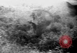 Immagine di Americani prigionieri di guerra Il Vietnam, 1970, secondo 46 filmato di repertorio 65675042351