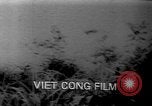 Immagine di Americani prigionieri di guerra Il Vietnam, 1970, secondo 55 filmato di repertorio 65675042351
