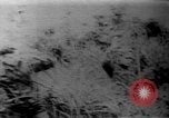 Immagine di Americani prigionieri di guerra Il Vietnam, 1970, secondo 57 filmato di repertorio 65675042351
