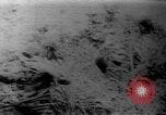 Immagine di Americani prigionieri di guerra Il Vietnam, 1970, secondo 58 filmato di repertorio 65675042351