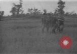 Image of South Vietnamese soldiers Vietnam, 1970, second 43 stock footage video 65675042352