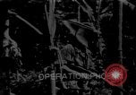 Image sud-vietnamiens soldats patrouillent village Vietnam, 1970, de la seconde 14 séquences d'archives historiques vidéo 65675042355