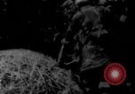 Image sud-vietnamiens soldats patrouillent village Vietnam, 1970, de la seconde 32 séquences d'archives historiques vidéo 65675042355