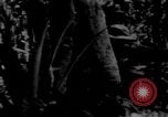 Image sud-vietnamiens soldats patrouillent village Vietnam, 1970, de la seconde 39 séquences d'archives historiques vidéo 65675042355