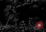 Image sud-vietnamiens soldats patrouillent village Vietnam, 1970, de la seconde 56 séquences d'archives historiques vidéo 65675042355